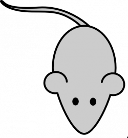 Lab Mouse Van Adrio Clip Art at Clker.com - vector clip art online ...