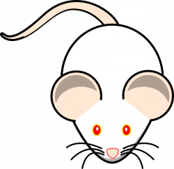 Swiss Mouse Clip Art at Clker.com - vector clip art online, royalty ...