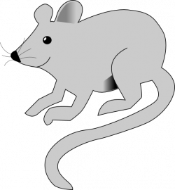 Cute Gray Mouse Clip Art at Clker.com - vector clip art online ...