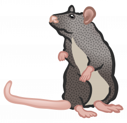 Clipart - mouse two - coloured