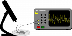 Clipart - Mouse EEG