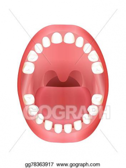 Vector Art - Baby teeth teething children mouth. Clipart ...