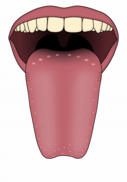 Tongue Clipart Clean Mouth - Does It Mean If You Have Dots ...