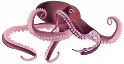 Octopus PNG Transparent Clip Art Image | Gallery Yopriceville ...