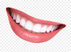 Mouth Cartoon clipart - Tooth, Mouth, transparent clip art