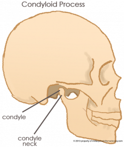 Military Disability ratings for Mouth and Teeth conditions