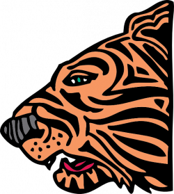 Tiger Head Side View Clip Art at Clker.com - vector clip art online ...