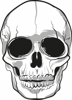 Skulls PNG Image - PurePNG | Free transparent CC0 PNG Image Library