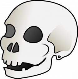 Cartoon Skull Clip Art at Clker.com - vector clip art online ...