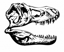 T-rex Tyrannosaurus Fossil - T Rex Skull Clip Art ...