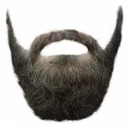 Beard PNG Transparent Image - PngPix