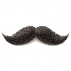 Real Mustache, Mustache, Mustach, Mustaches PNG and PSD File for ...