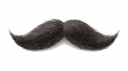 Moustache PNG Transparent Images | PNG All