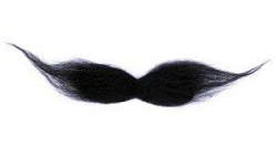 Download Pencil Thin Mustache Hd Image Clipart PNG Free ...
