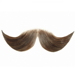 Free Real Mustache Png, Download Free Clip Art, Free Clip ...