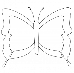 White butterfly clipart - valuedirectories.info
