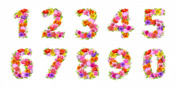 28+ Collection of Floral Numbers Clipart | High quality, free ...