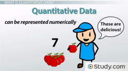 What is Quantitative Data? - Definition & Examples - Video ...