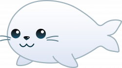 Cute White Baby Seal - Free Clip Art