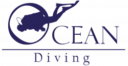 Ocean Diving Boca Chica