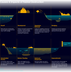 Image result for habitat destruction | fragmentation | Pinterest ...