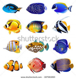 Tropical Fish clipart saltwater fish #3 | garden stuff ...