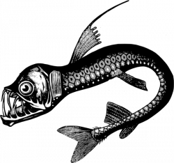 Sea Creature Clip Art at Clker.com - vector clip art online, royalty ...
