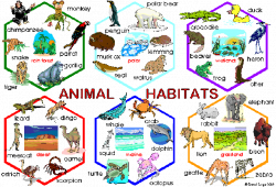Check out these sites: Biomes http://kids.nceas.ucsb.edu/biomes ...