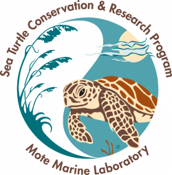 Neighbors Ensuring Sea Turtle Survival (NESTS) Program | Sea to ...