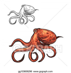 Vector Art - Octopus sea animal sketch of red ocean mollusk ...