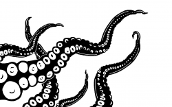 Octopus black and white octopus black and white clipart 7 ...