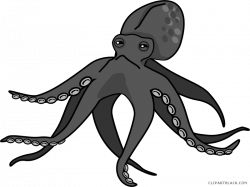 Awesome Octopus Clipart - ClipartBlack.com