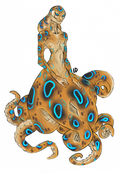 A] Blue-ringed Octopus: SOLD by Gembone on DeviantArt