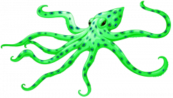 green octopus png - Free PNG Images | TOPpng