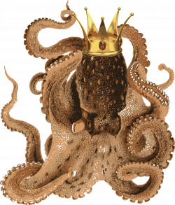 CONTESTcoin # Octopus|Bitcoin|Crown
