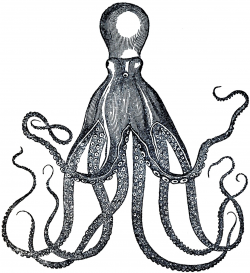9 Octopus Clip Art Images - Cuttlefish Pictures! | Totem ...