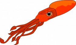 Cartoon Squid Drawing at GetDrawings.com | Free for personal use ...