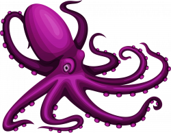 Jellyfish Marine biology Seabed Starfish - octopus 3586*2789 ...