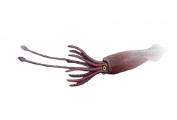 octopus seamonster freetoedit