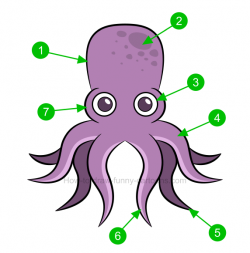 How to draw an octopus clip art