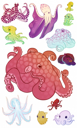 cephalopod arts | Tumblr