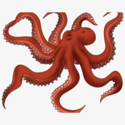 Clipart Resolution 1024*752 - Octopus Tentacle Transparent ...