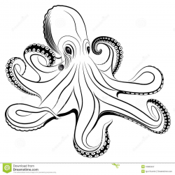 royalty free octopus | Royalty Free Stock Photography ...