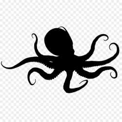 Octopus Cartoon clipart - Octopus, Squid, Drawing ...