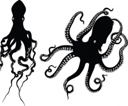 Octopus SVG marine life SVG octopus clipart Cricut | animal ...
