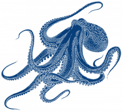 oktopus.png (600×546) | 1302: Project 1 (octopus) | Pinterest ...