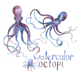 Watercolor Octopi Sea Life Octopus Clip Art Image Pack ...