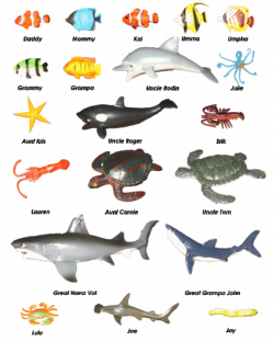 Sea Animals Pictures With Names | Siewalls.co