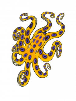 Blue ringed octopus by Foxxie-Angel on DeviantArt