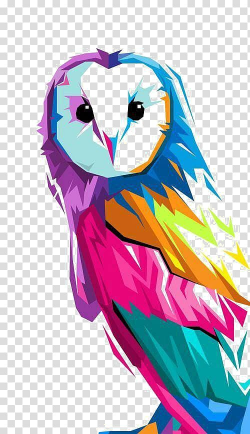 Pink, blue, and orange owl illustration, Owl Art Drawing ...